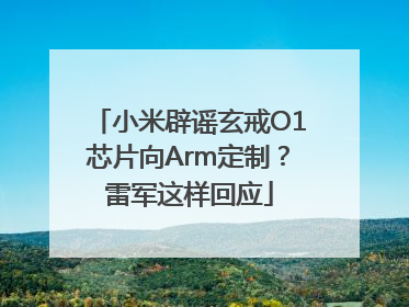 小米辟谣玄戒O1芯片向Arm定制？雷军这样回应