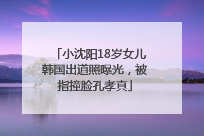 小沈阳18岁女儿韩国出道照曝光，被指撞脸孔孝真
