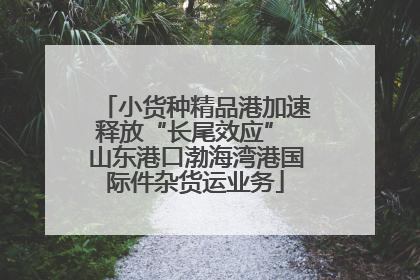 小货种精品港加速释放“长尾效应” 山东港口渤海湾港国际件杂货运业务