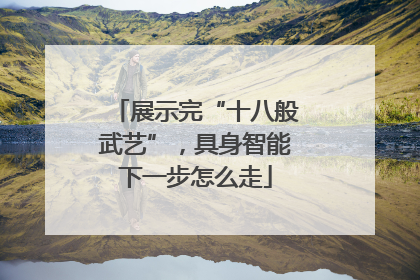 展示完“十八般武艺”，具身智能下一步怎么走