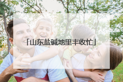山东盐碱地里丰收忙