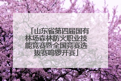 山东省第四届国有林场森林防火职业技能竞赛暨全国竞赛选拔赛鸣锣开赛