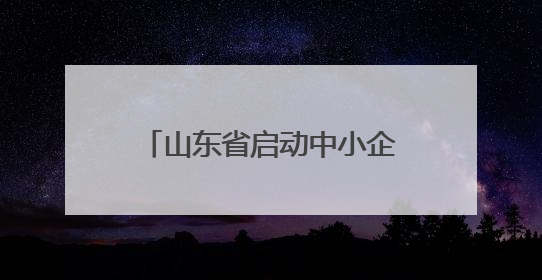 山东省启动中小企业出海专项行动 以优质中小企业“走出去”新成效展示山东产业发展新形象