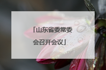 山东省委常委会召开会议