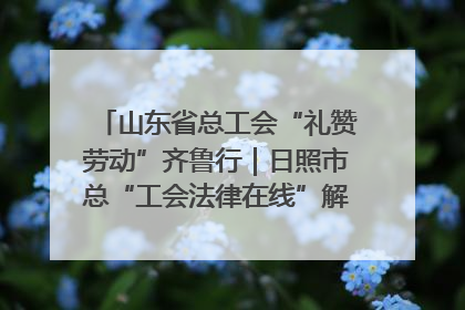 山东省总工会“礼赞劳动”齐鲁行｜日照市总“工会法律在线”解决职工愁“薪”事