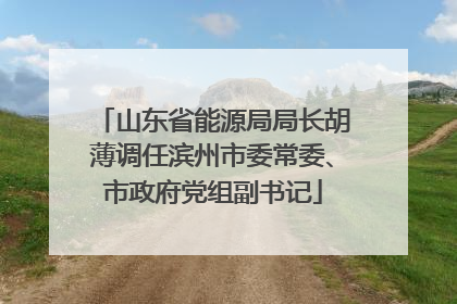 山东省能源局局长胡薄调任滨州市委常委、市政府党组副书记