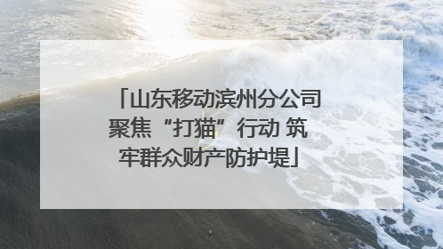 山东移动滨州分公司聚焦“打猫”行动 筑牢群众财产防护堤