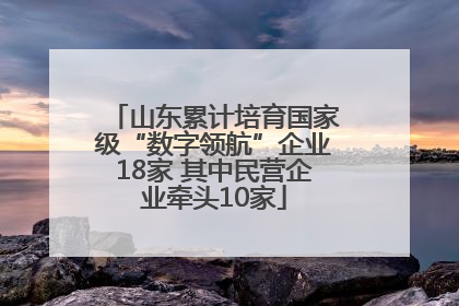 山东累计培育国家级“数字领航”企业18家 其中民营企业牵头10家