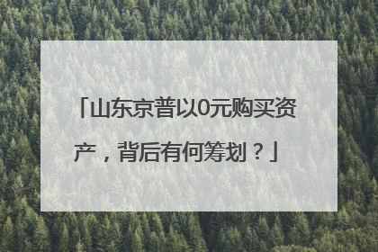 山东京普以0元购买资产，背后有何筹划？