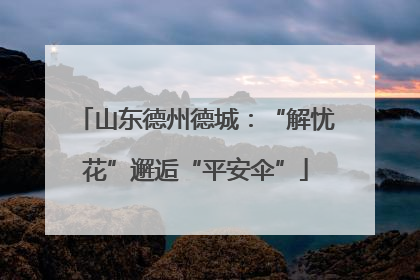 山东德州德城：“解忧花”邂逅“平安伞”