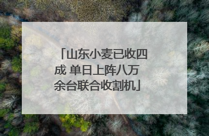 山东小麦已收四成 单日上阵八万余台联合收割机