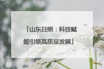 山东日照：科技赋能引领高质量发展