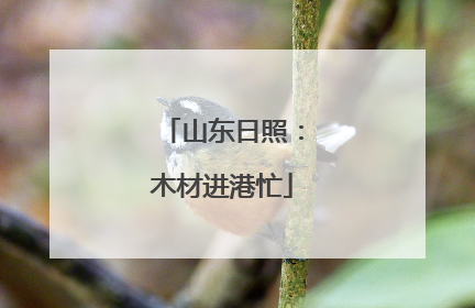 山东日照：木材进港忙