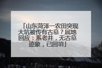 山东菏泽一农田突现大坑被传有古墓？属地回应：系老井，无古墓迹象，已回填