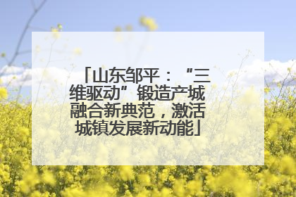 山东邹平：“三维驱动”锻造产城融合新典范，激活城镇发展新动能