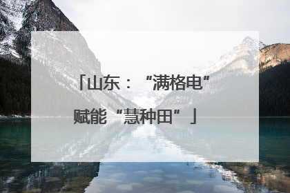 山东：“满格电”赋能“慧种田”