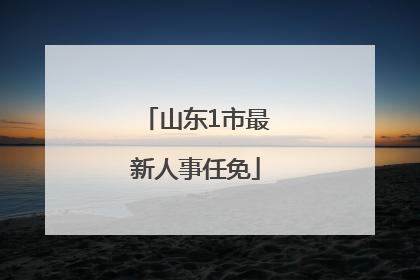 山东1市最新人事任免