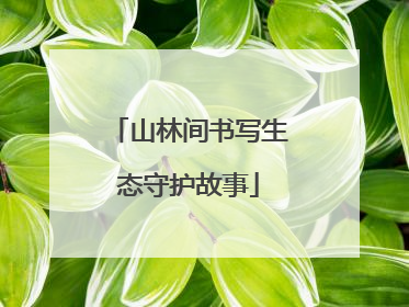 山林间书写生态守护故事