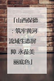 山西保德：筑牢黄河流域生态屏障 永葆美丽底色
