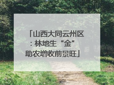 山西大同云州区：林地生“金” 助农增收前景旺