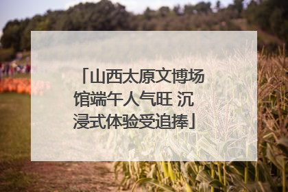 山西太原文博场馆端午人气旺 沉浸式体验受追捧