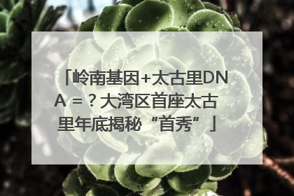 岭南基因+太古里DNA =？大湾区首座太古里年底揭秘“首秀”