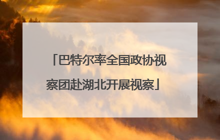 巴特尔率全国政协视察团赴湖北开展视察
