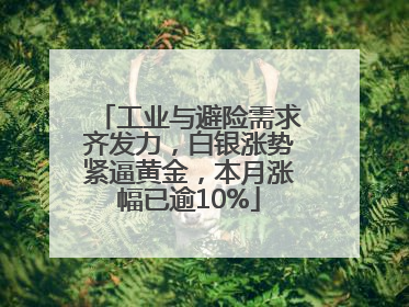 工业与避险需求齐发力，白银涨势紧逼黄金，本月涨幅已逾10%