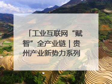 工业互联网“赋智”全产业链｜贵州产业新势力系列报道之八