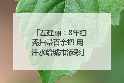 左建丽：8年扫秃扫帚百余把 用汗水给城市添彩