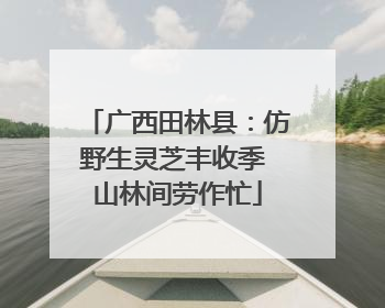 广西田林县：仿野生灵芝丰收季 山林间劳作忙