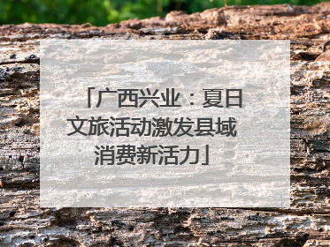 广西兴业：夏日文旅活动激发县域消费新活力