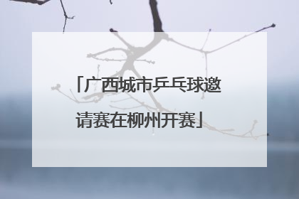 广西城市乒乓球邀请赛在柳州开赛