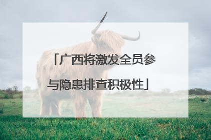 广西将激发全员参与隐患排查积极性