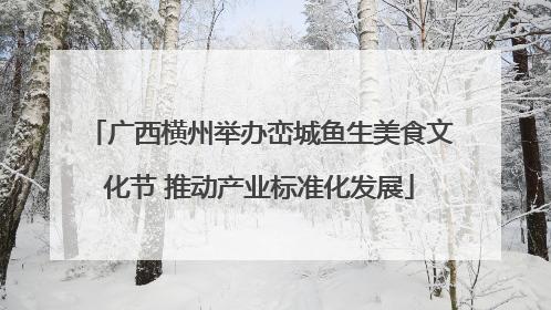 广西横州举办峦城鱼生美食文化节 推动产业标准化发展