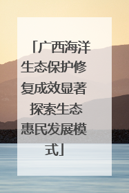 广西海洋生态保护修复成效显著 探索生态惠民发展模式