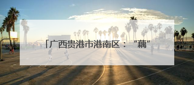 广西贵港市港南区：“藕”遇丰收季 泥中“掘金”忙
