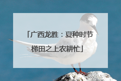 广西龙胜：夏种时节 梯田之上农耕忙