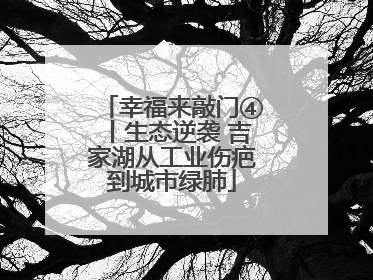 幸福来敲门④丨生态逆袭 吉家湖从工业伤疤到城市绿肺