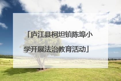 庐江县柯坦镇陈埠小学开展法治教育活动