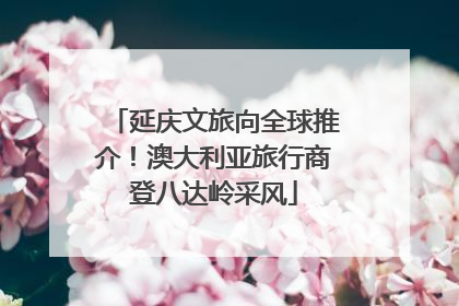 延庆文旅向全球推介！澳大利亚旅行商登八达岭采风