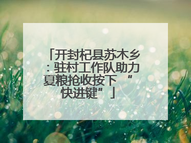 开封杞县苏木乡：驻村工作队助力夏粮抢收按下 “快进键”
