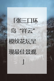 张三口环岛“祥云”模纹花坛呈现最佳景观
