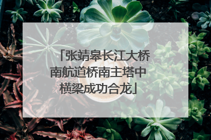 张靖皋长江大桥南航道桥南主塔中横梁成功合龙