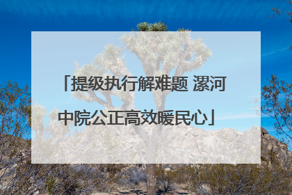 提级执行解难题 漯河中院公正高效暖民心