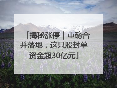 揭秘涨停｜重磅合并落地，这只股封单资金超30亿元