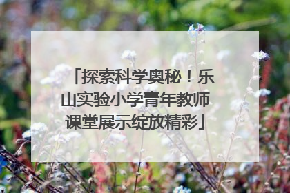 探索科学奥秘！乐山实验小学青年教师课堂展示绽放精彩