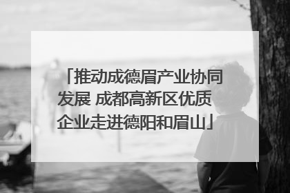 推动成德眉产业协同发展 成都高新区优质企业走进德阳和眉山