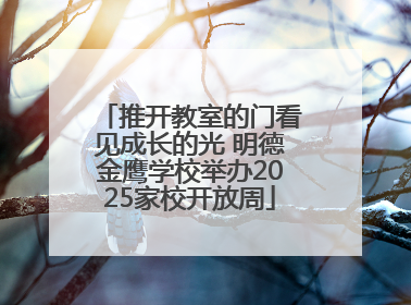 推开教室的门看见成长的光 明德金鹰学校举办2025家校开放周