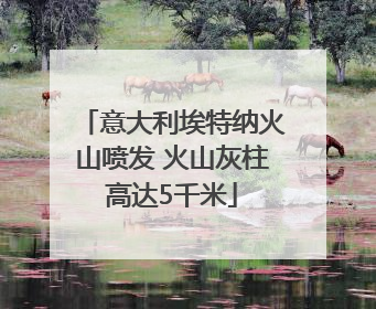意大利埃特纳火山喷发 火山灰柱高达5千米